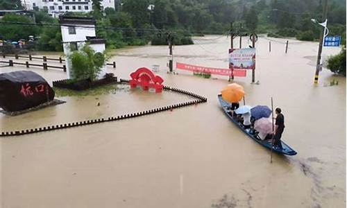 高考一县取消因暴雨,高考暴雨延期