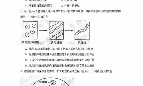 山东高考理综题目,山东新高考理综