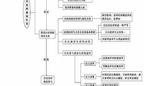 高考政治知识结构_高考政治知识总结