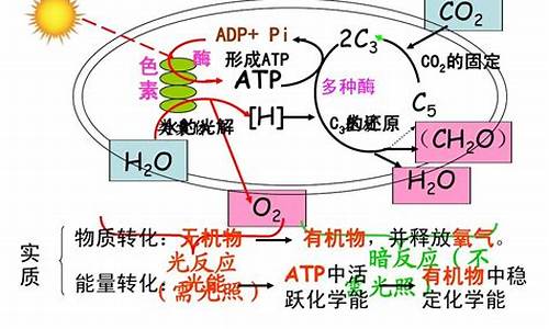 光合作用呼吸作用高考_光合作用呼吸作用高考常见题型