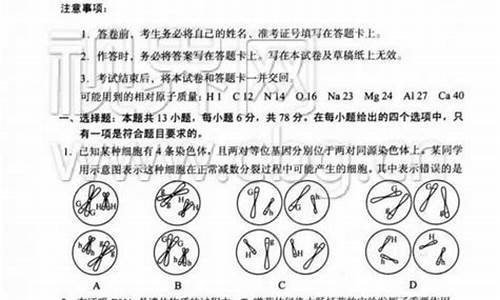 2017年重庆高考满分多少,理综2017重庆高考